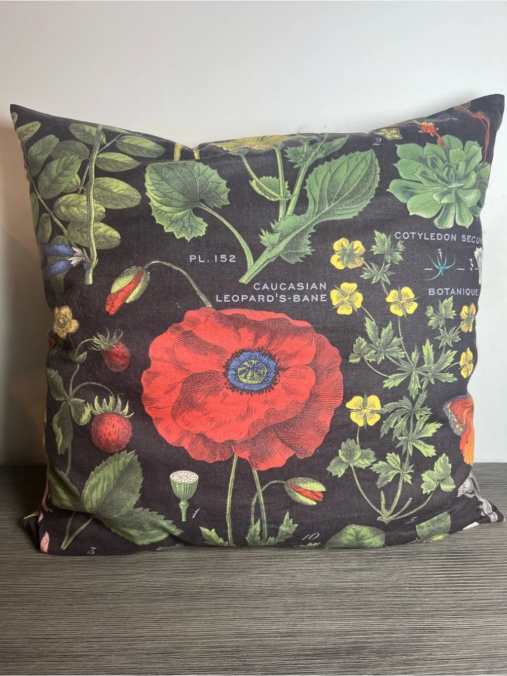 Pottery Barn Botanical Poppy Floral Pillow - Black Background